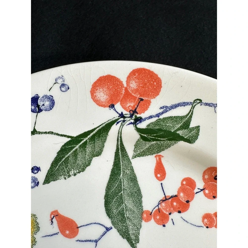 Crate & Barrel Italy Berry Botanical Dinner Plates Set of 2 White Ceramic 10.75